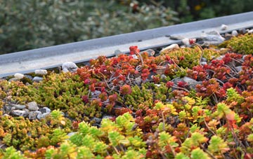 the cost of Guildiehaugh green roof installation