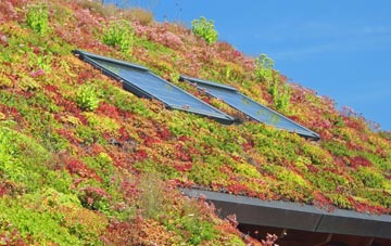 Guildiehaugh living roof systems