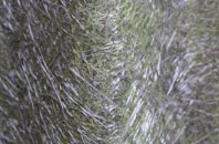 Guildiehaugh fibreglass roof work